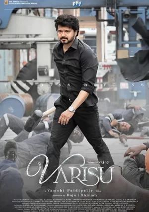 继承人瓦里苏海报