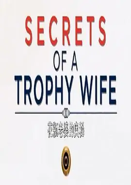 花瓶老婆的秘密海报