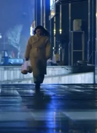 疯狂的窥视海报