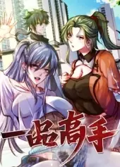一品高手海报