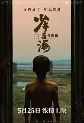 少年与海海报
