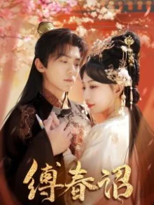 缚春诏海报