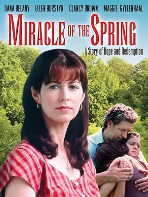 说谎者的守护神海报