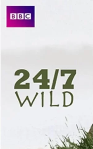 全天候野生动物追踪海报