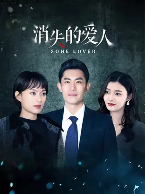 消失的爱人海报