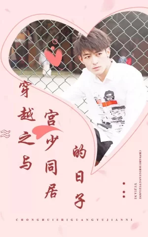 穿越之与宫少同居的日子海报