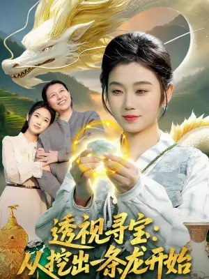 透视寻宝:从挖出一条龙开始海报