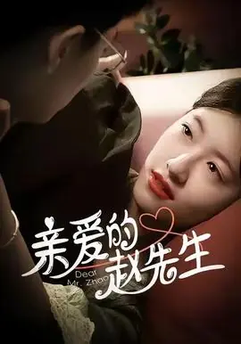 亲爱的赵先生海报