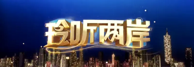 玲听两岸2013海报