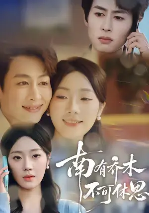 南有乔木,不可休思海报