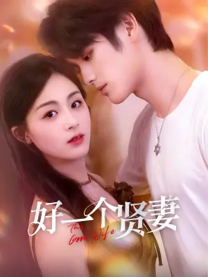 好一个贤妻海报