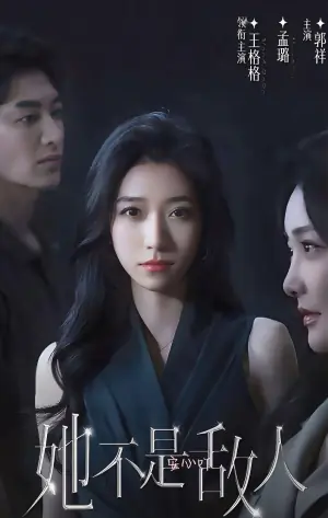 她不是敌人海报