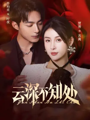 云深不知处海报