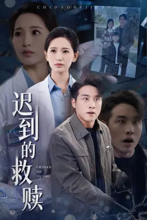 迟到的救赎海报