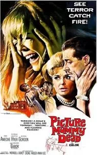 滴血的项链海报