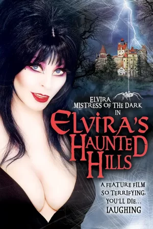 销魂天师之古堡惊魂2001海报