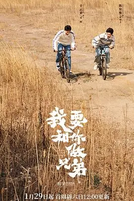 我要和你做兄弟海报