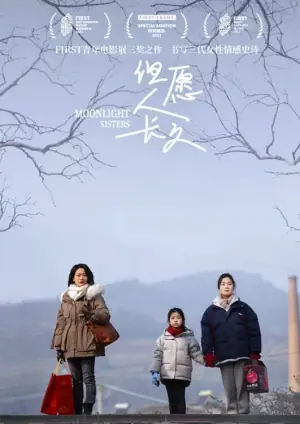 但愿人长久海报