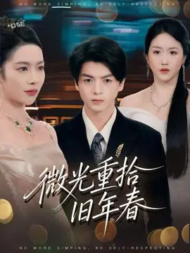 微光重拾旧年春海报
