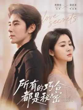 所有的巧合都是秘密海报