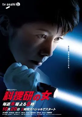 科搜研之女第十一季海报