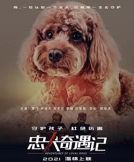 忠犬奇遇记海报