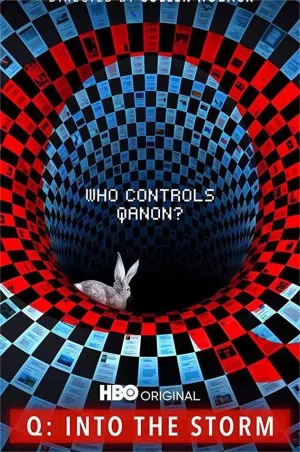 Q:进入风暴海报