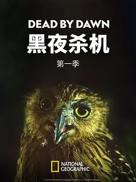 黑夜杀机第一季海报