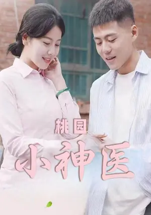 桃源小神医海报