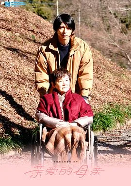 假面骑士利维斯亲爱的阿母海报