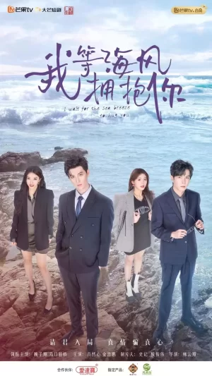 我等海风拥抱你海报