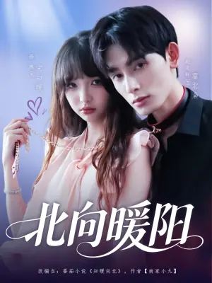 北向暖阳海报