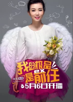 极品女士第一季海报