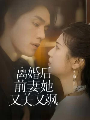 离婚后前妻她又美又飒海报