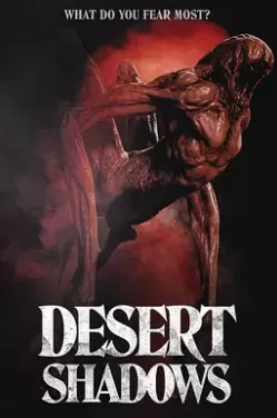 沙漠阴影海报