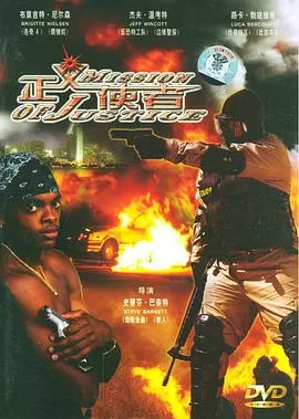 正义使者(英语)海报