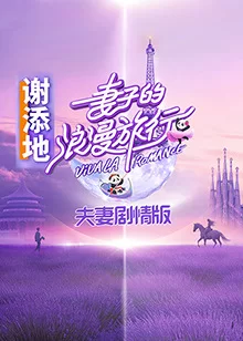 妻子的浪漫旅行夫妇剧情版海报