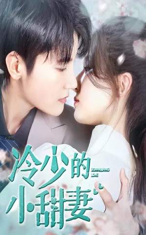 冷少的小甜妻海报