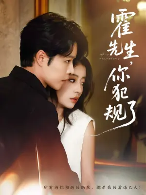 霍先生,你犯规了海报