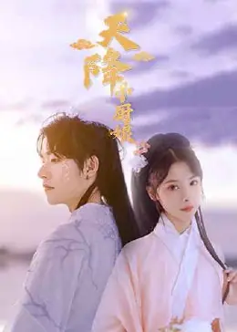 天降小厨娘海报