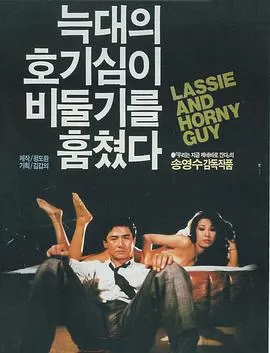 野狼与鸽子海报