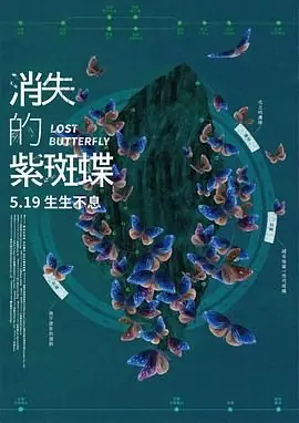 消失的紫斑蝶海报
