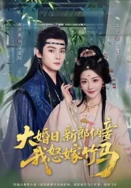 大婚日,新郎纳妾我怒嫁竹马海报