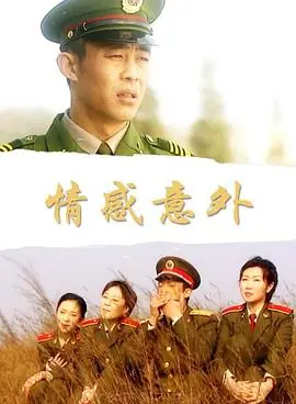 情感意外海报