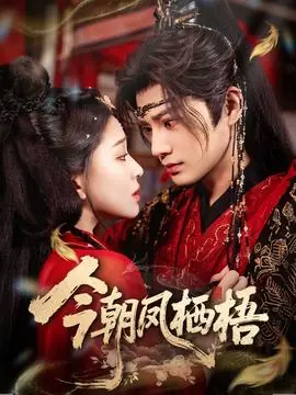 今朝凤栖梧海报