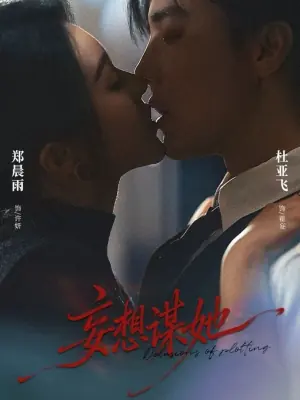 妄想谋她海报