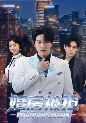 婚房被抢我选系统成为赢家海报