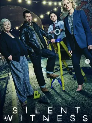 无声的证言第二十九季海报