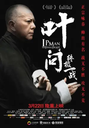 叶问:终极一战(粤语)海报