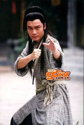 天涯追缉令海报